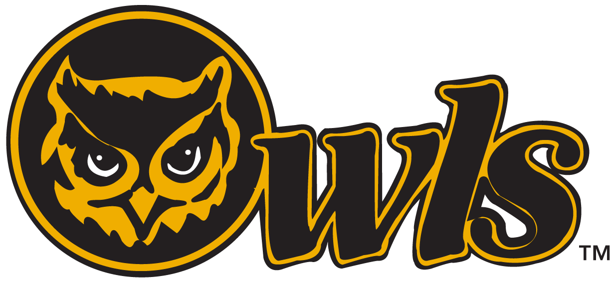 Kennesaw State Owls 0-2011 Secondary Logo t shirts DIY iron ons v2